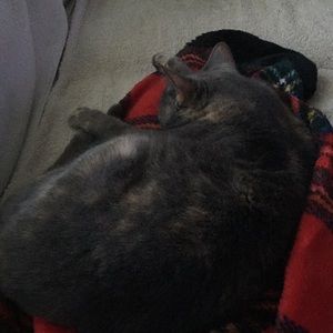 Meet your Posher, Barbara